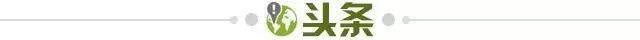 星空下载-【早报】凯恩上架！只要1.5亿英镑！英超三队抢疯了！